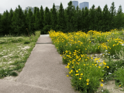 青春期孩子從叛逆躺平到懂事上進，取決于父母意識覺