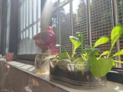 淚目!新生報到,大學門口媽媽的一句話,看哭無數(shù)家長