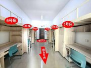 重慶一高校要求新生自選宿舍,低價宿舍秒光,學生只